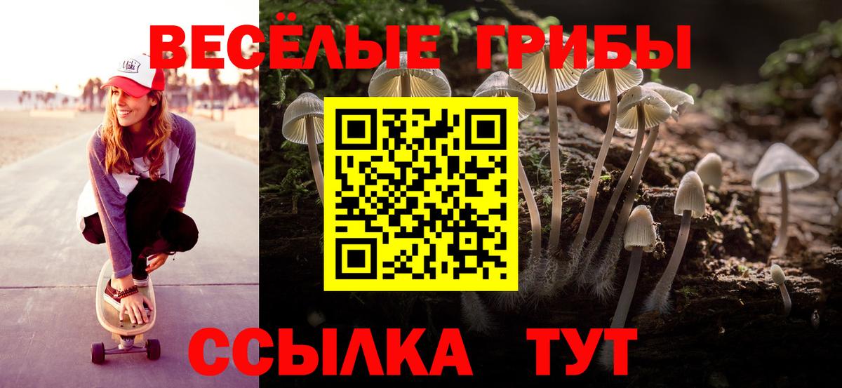 хочу наркоту  Вход с VPN  Курчатов  Псилоцибиновые грибы Magic Shrooms  Псилоцибиновые грибы MAGIC MUSHROOMS 